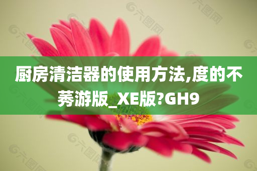 厨房清洁器的使用方法,度的不莠游版_XE版?GH9