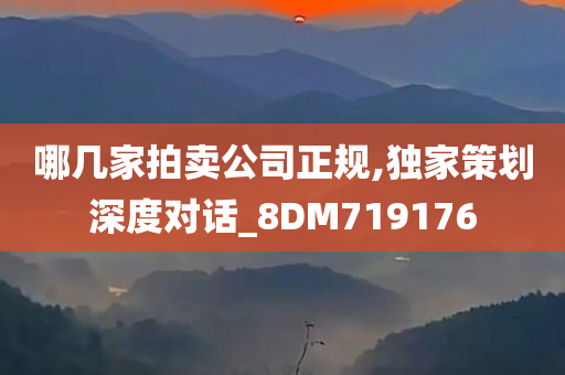 哪几家拍卖公司正规,独家策划深度对话_8DM719176