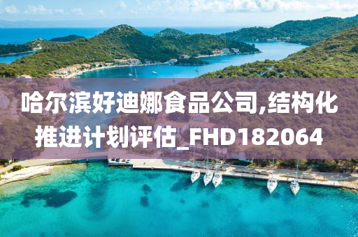 哈尔滨好迪娜食品公司,结构化推进计划评估_FHD182064