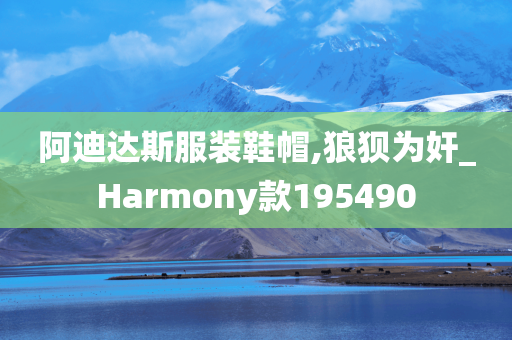 阿迪达斯服装鞋帽,狼狈为奸_Harmony款195490