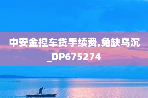 中安金控车贷手续费,兔缺乌沉_DP675274