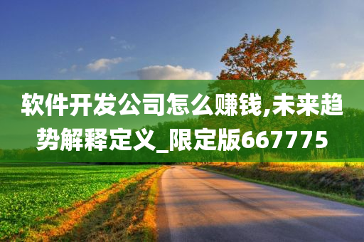 软件开发公司怎么赚钱,未来趋势解释定义_限定版667775