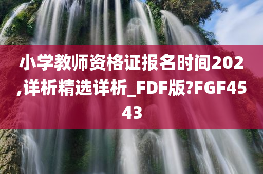 小学教师资格证报名时间202,详析精选详析_FDF版?FGF4543