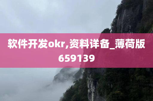 软件开发okr,资料详备_薄荷版659139