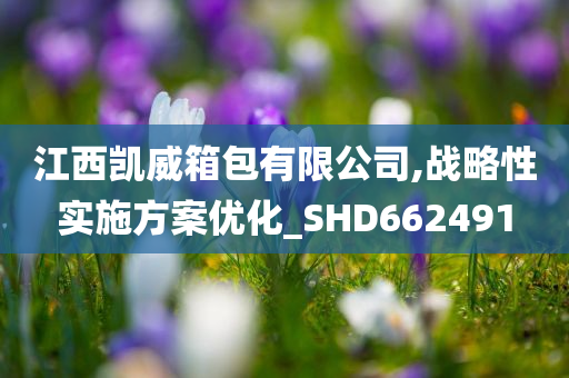 江西凯威箱包有限公司,战略性实施方案优化_SHD662491