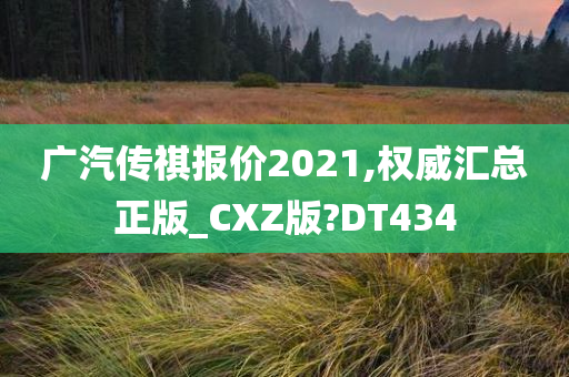 广汽传祺报价2021,权威汇总正版_CXZ版?DT434