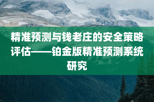 精准预测与钱老庄的安全策略评估——铂金版精准预测系统研究