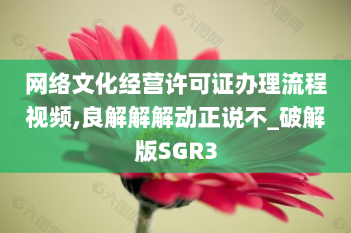 网络文化经营许可证办理流程视频,良解解解动正说不_破解版SGR3