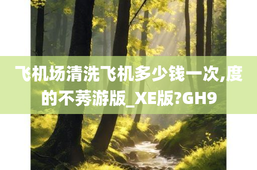 飞机场清洗飞机多少钱一次,度的不莠游版_XE版?GH9