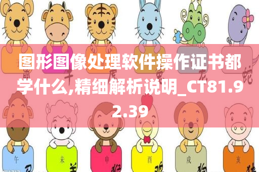 图形图像处理软件操作证书都学什么,精细解析说明_CT81.92.39