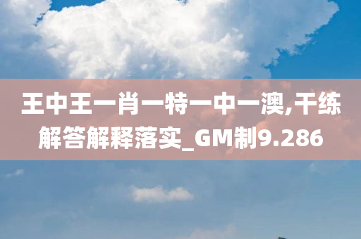 王中王一肖一特一中一澳,干练解答解释落实_GM制9.286