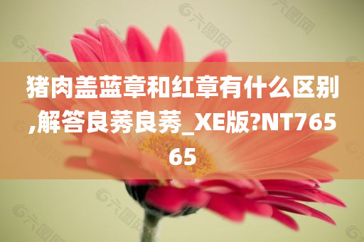 猪肉盖蓝章和红章有什么区别,解答良莠良莠_XE版?NT76565