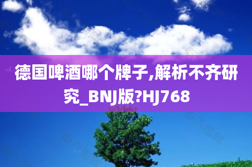 德国啤酒哪个牌子,解析不齐研究_BNJ版?HJ768