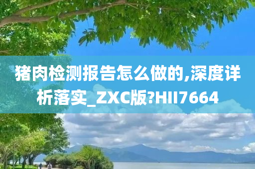 猪肉检测报告怎么做的,深度详析落实_ZXC版?HII7664