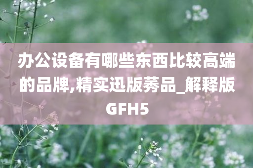 办公设备有哪些东西比较高端的品牌,精实迅版莠品_解释版GFH5