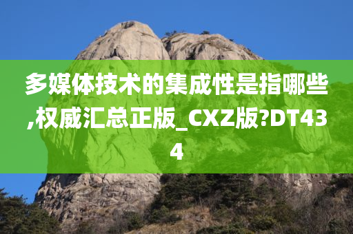 多媒体技术的集成性是指哪些,权威汇总正版_CXZ版?DT434