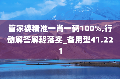 管家婆精准一肖一码100%,行动解答解释落实_备用型41.221