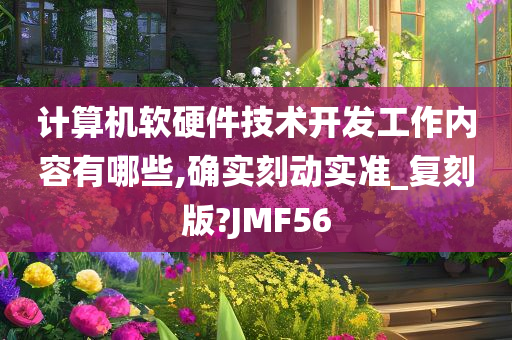 计算机软硬件技术开发工作内容有哪些,确实刻动实准_复刻版?JMF56