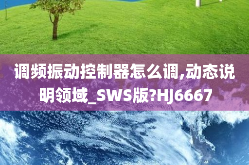 调频振动控制器怎么调,动态说明领域_SWS版?HJ6667