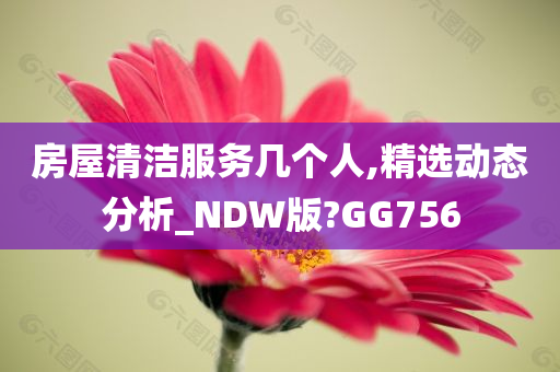 房屋清洁服务几个人,精选动态分析_NDW版?GG756