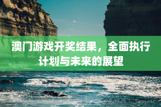 澳门游戏开奖结果，全面执行计划与未来的展望