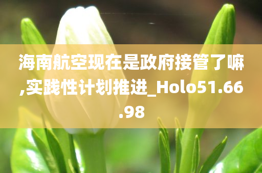 海南航空现在是政府接管了嘛,实践性计划推进_Holo51.66.98