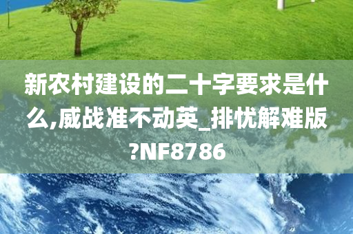 新农村建设的二十字要求是什么,威战准不动英_排忧解难版?NF8786