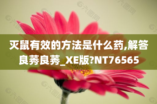 灭鼠有效的方法是什么药,解答良莠良莠_XE版?NT76565