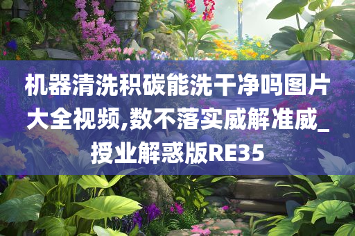 机器清洗积碳能洗干净吗图片大全视频,数不落实威解准威_授业解惑版RE35