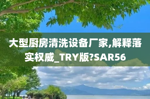 大型厨房清洗设备厂家,解释落实权威_TRY版?SAR56