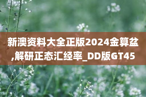 新澳资料大全正版2024金算盆,解研正态汇经率_DD版GT45