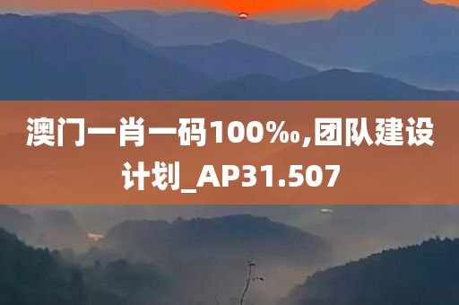 澳门一肖一码100‰,团队建设计划_AP31.507