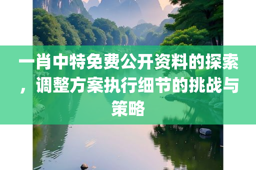 一肖中特免费公开资料的探索，调整方案执行细节的挑战与策略