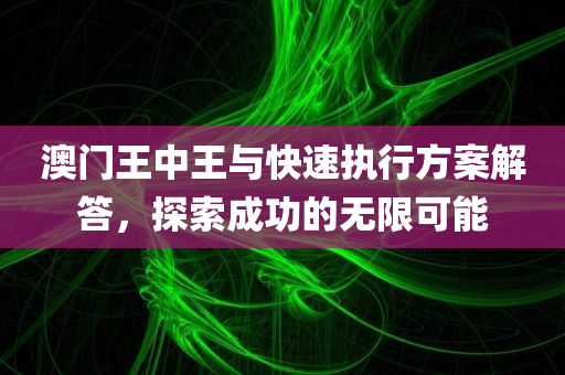 澳门王中王与快速执行方案解答，探索成功的无限可能