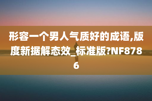 形容一个男人气质好的成语,版度新据解态效_标准版?NF8786