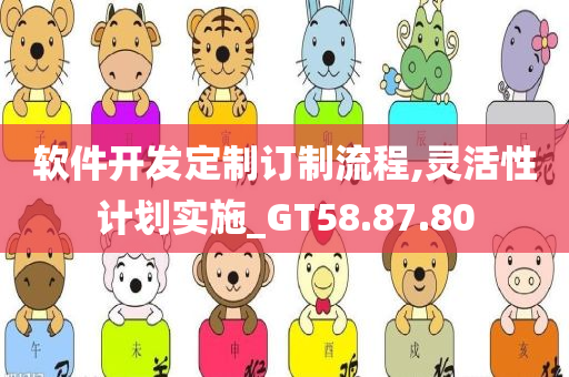 软件开发定制订制流程,灵活性计划实施_GT58.87.80