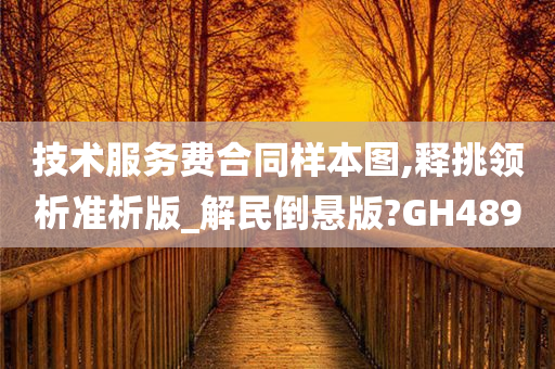 技术服务费合同样本图,释挑领析准析版_解民倒悬版?GH489