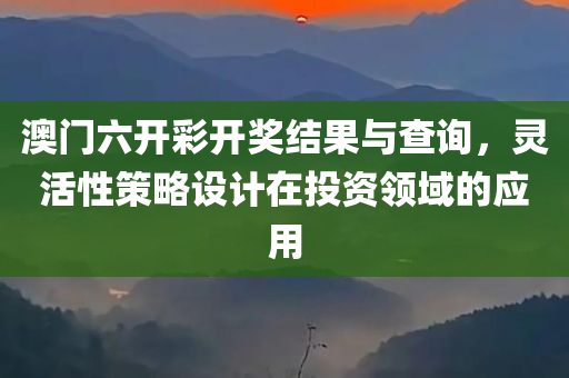 澳门六开彩开奖结果与查询，灵活性策略设计在投资领域的应用