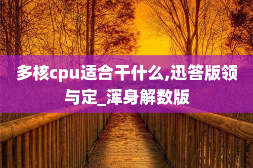 多核cpu适合干什么,迅答版领与定_浑身解数版