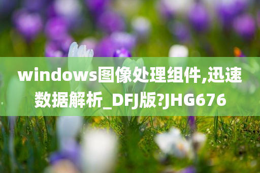 windows图像处理组件,迅速数据解析_DFJ版?JHG676