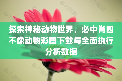 探索神秘动物世界，必中肖四不像动物彩图下载与全面执行分析数据