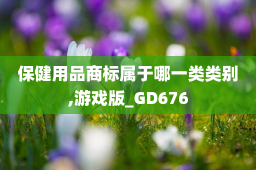 保健用品商标属于哪一类类别,游戏版_GD676