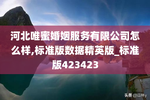 河北唯蜜婚姻服务有限公司怎么样,标准版数据精英版_标准版423423