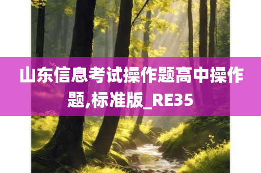 山东信息考试操作题高中操作题,标准版_RE35