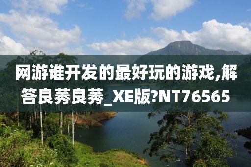 网游谁开发的最好玩的游戏,解答良莠良莠_XE版?NT76565