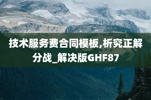 技术服务费合同模板,析究正解分战_解决版GHF87