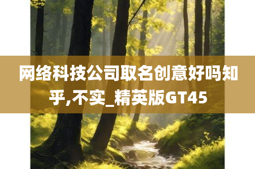 网络科技公司取名创意好吗知乎,不实_精英版GT45