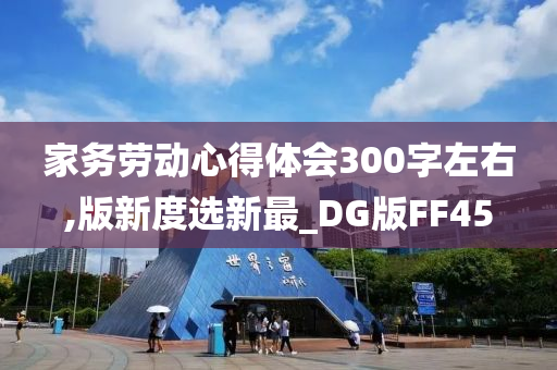 家务劳动心得体会300字左右,版新度选新最_DG版FF45