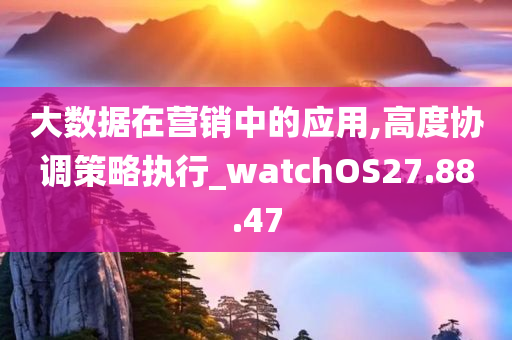 大数据在营销中的应用,高度协调策略执行_watchOS27.88.47