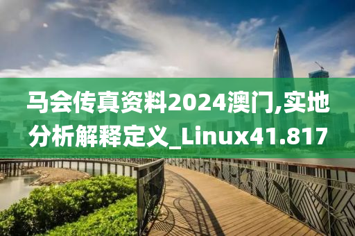 马会传真资料2024澳门,实地分析解释定义_Linux41.817